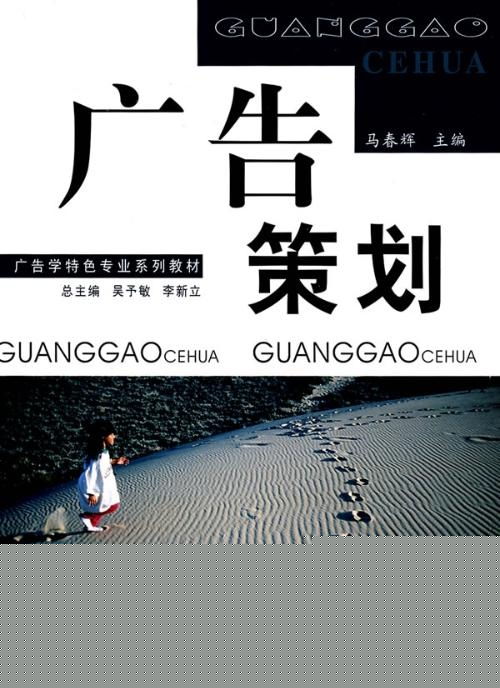 广告策划公司 市场营销策划的幕后推手与战略伙伴